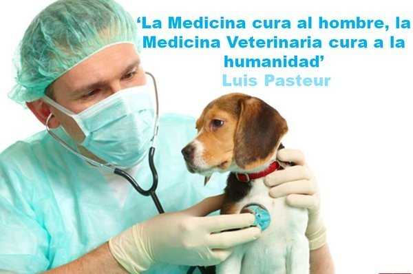 Dia del Veterinario en CUBA