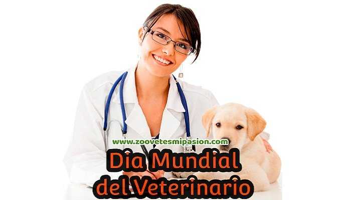 Día mundial del veterinario