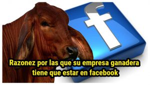 ganadería en facebook