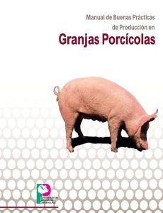 Manual porcino
