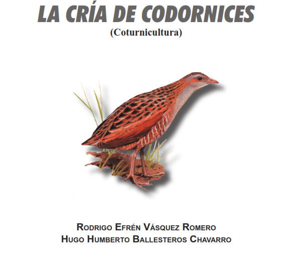 descargar libro la gallina negra descargar libro la gallina negra