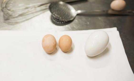Diferencia entre huevos criollos y huevos industriales