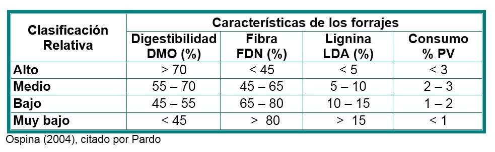 MAYOR CONTENIDO NUTRICIONAL