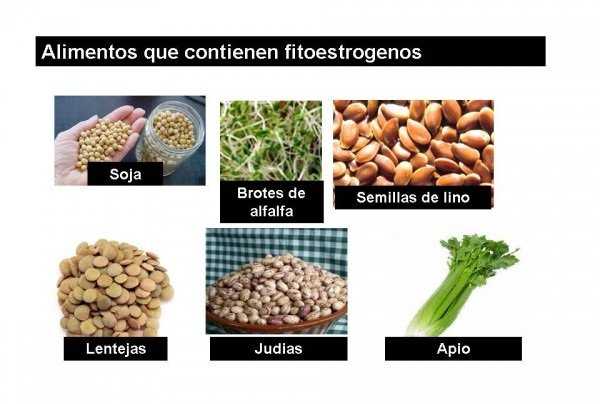 alimentos-con-fitoestrogenos