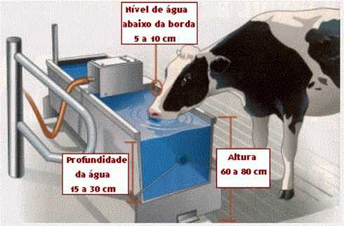 bebederos para el ganado