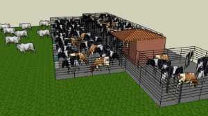 Lee más sobre el artículo Como trabajar el ganado en corrales y potreros