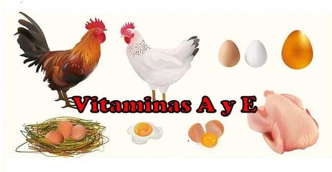 Lee más sobre el artículo El mercado de las vitaminas A y E señala tiempos de cambio
