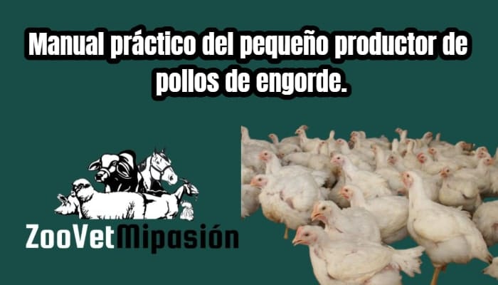 Manual práctico del pequeño productor de pollos de engorde.