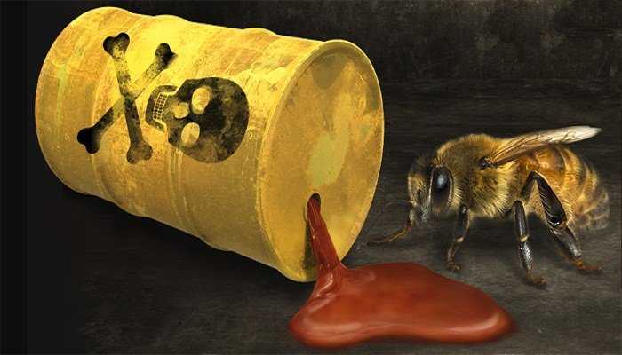 El crimen perfecto: ¿Quién está matando las abejas?