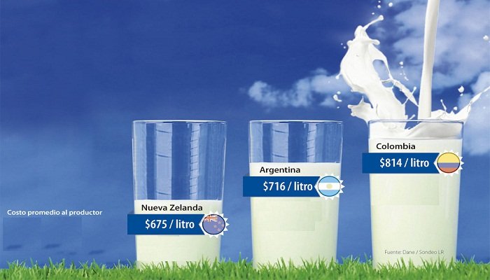 En este momento estás viendo TLC con nueva Zelanda acabaría el sector lechero colombiano en solo un año