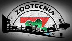 Lee más sobre el artículo Problemática de los Zootecnistas en Colombia
