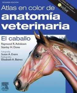 Atlas anatomia del caballo