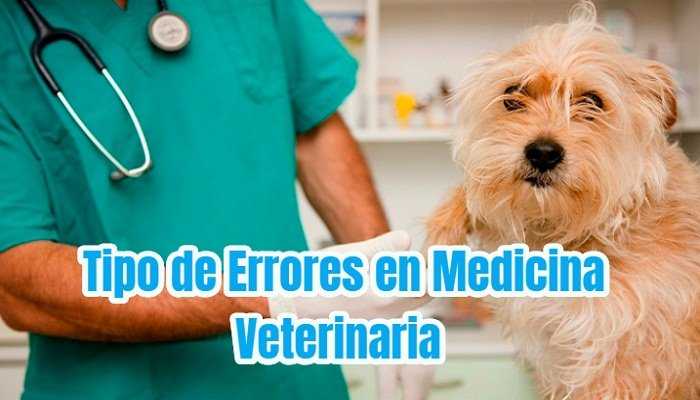 Tipos de errores en la medicina veterinaria