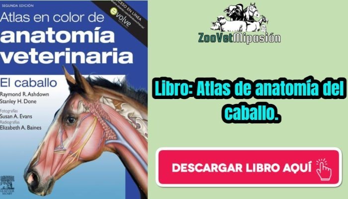 Libro: Atlas de anatomía del caballo
