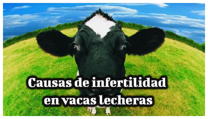 causas de infertilidad en vacas lecheras