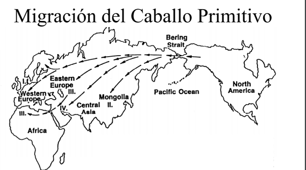 Migración del Caballo Primitivo