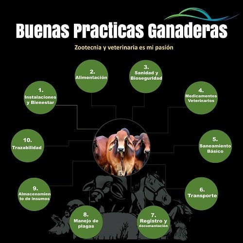 Elementos de las Buenas-Practicas-Ganaderas