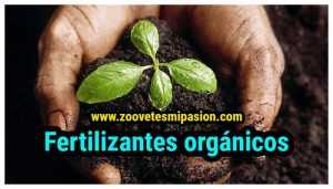 fertilizantes orgánicos