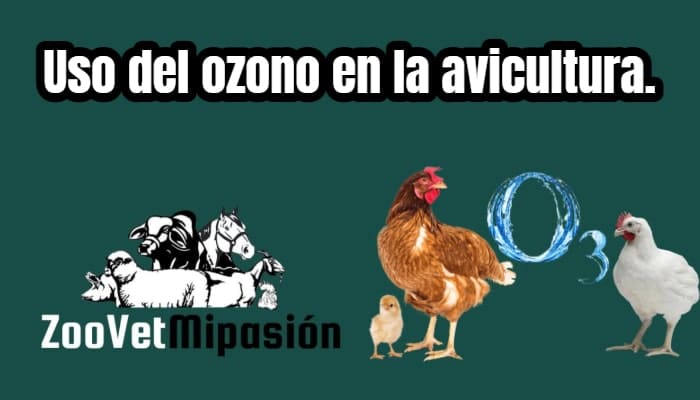 Uso del ozono en la avicultura.