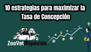 10 estrategias para maximizar la Tasa de Concepción