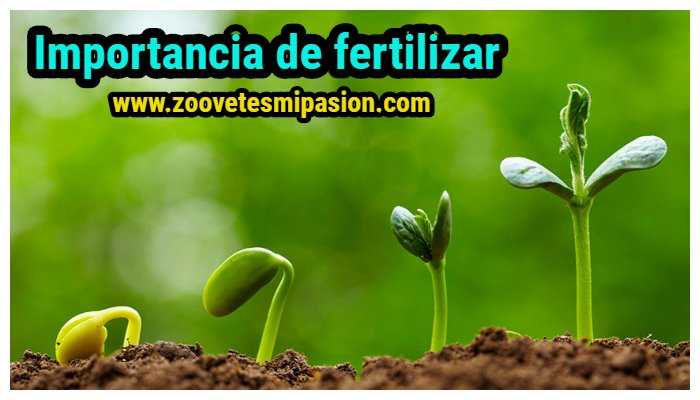 Importancia de fertilizar