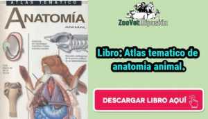 Libro: Atlas tematico de anatomia animal.