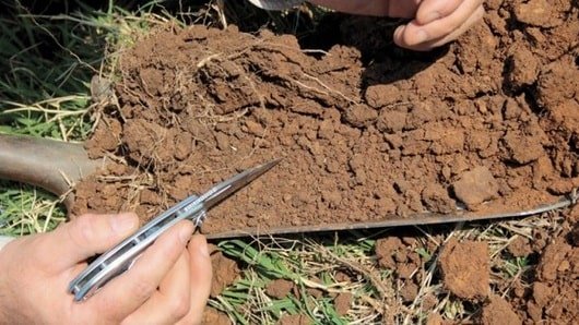 análisis de suelos para establecer pásturas