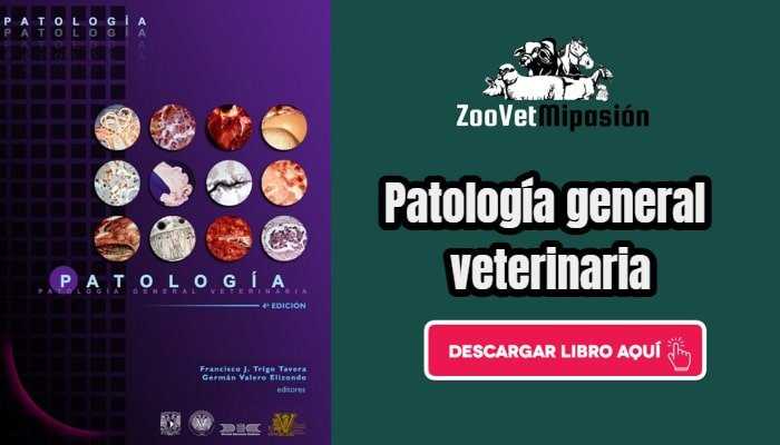 Patología general veterinaria PDF