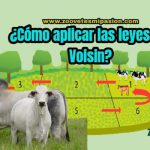¿Cómo aplicar las leyes de pastoreo de Voisin?