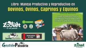 Libro Manejo Productivo y Reproductivo en Bovinos, Ovinos, Caprinos y Equinos