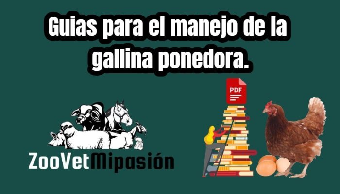 Guias para el manejo de la gallina ponedora.