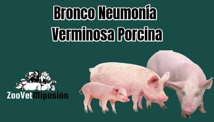Bronco Neumonía Verminosa Porcina