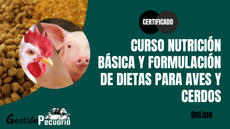 Curso Nutrición básica y formulación de dietas para aves y cerdos