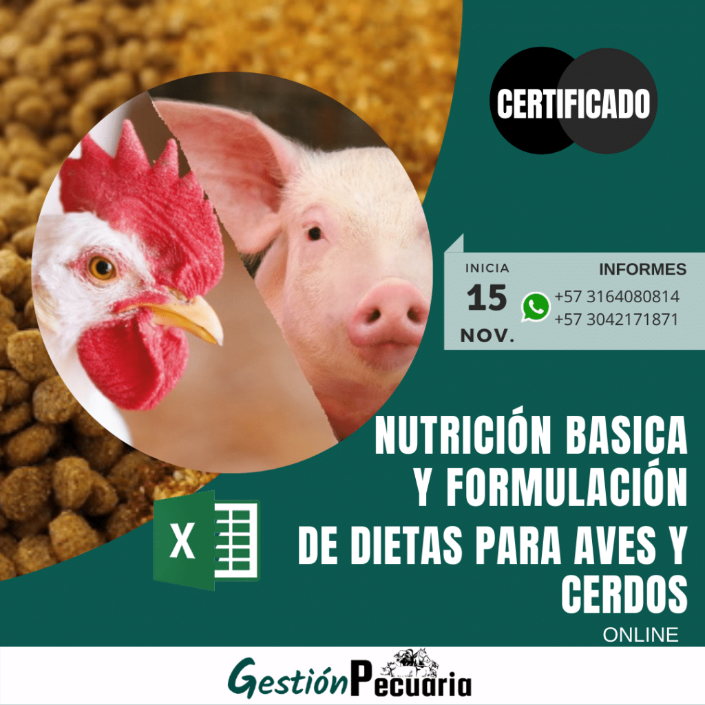 Curso Nutrición y formulación de dietas para aves y cerdos