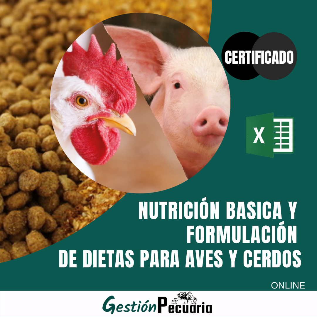 Curso Nutrición y formulación de dietas para aves y cerdos