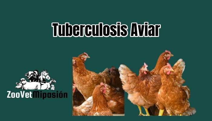 Tuberculosis Aviar