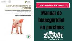 Manual bioseguridad en porcinos