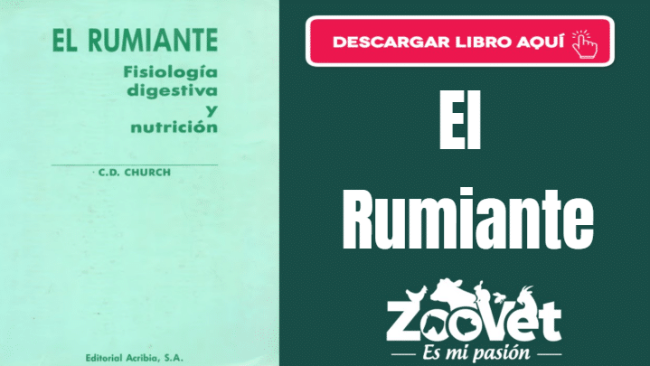 Lee más sobre el artículo Libro El Rumiante (descarga PDF gratis)