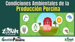 Condiciones Ambientales de la Producción Porcina