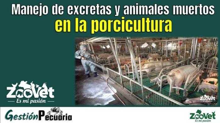 Manejo de excretas y animales muertos en la porcicultura