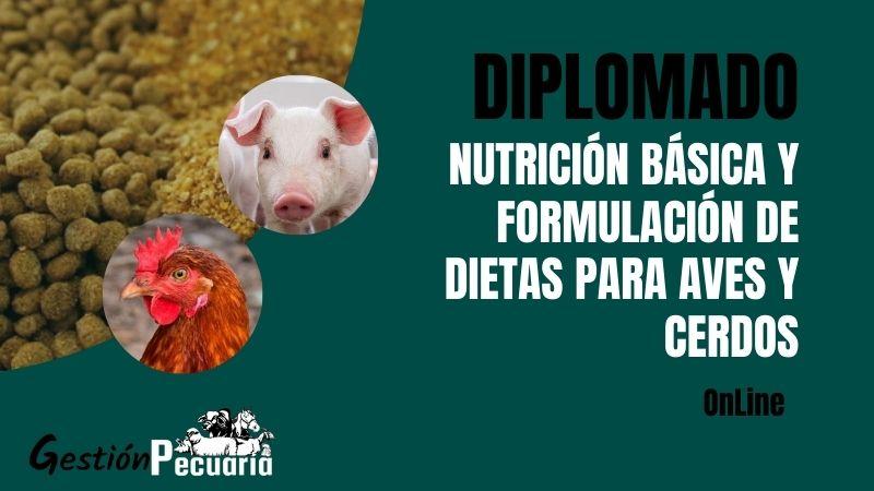 Diplomado Nutrición y formulación de dietas para aves y cerdos