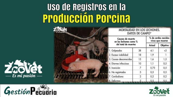 Uso de Registros en la Producción Porcina