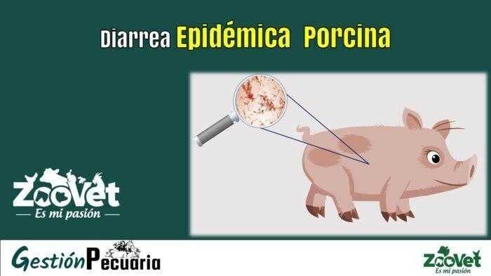 Diarrea Epidémica Porcina