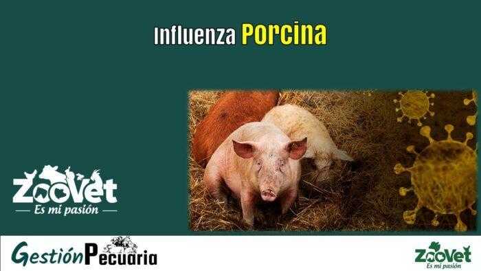 Influenza Porcina