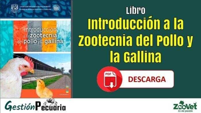 ibro Introduccion a la Zootecnia del Pollo y la Gallina