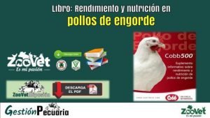 Libro Rendimiento y nutrición en pollos de engorde
