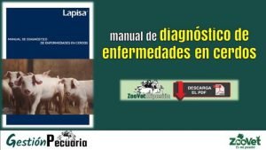 manual de diagnostico de enfermedades en cerdos