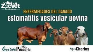 Enfermedad de Estomatitis Vesicular Bovina
