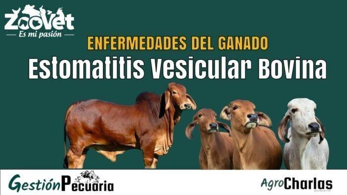 Estomatitis Vesicular en Bovinos