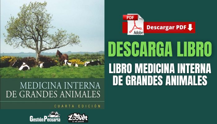 Libro Medicina Interna De Grandes Animales